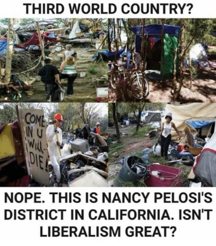 Pelosi district