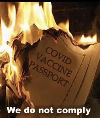 13AFF970-4FAA-4EB1-A5BC-698740C0DA41