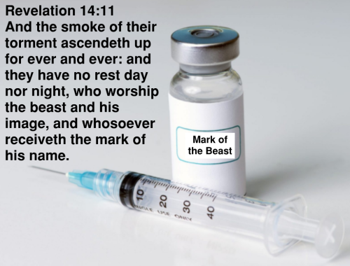 24 Mark Rev 14.11