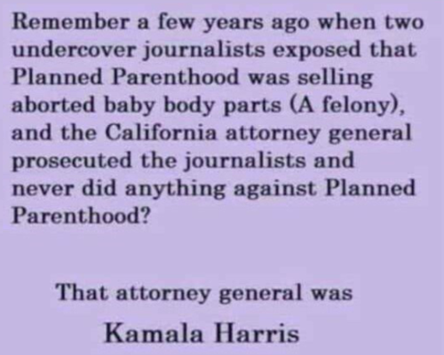 Capture+_2021-11-08-00-53-59(1)