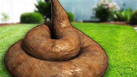 poop