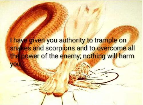 Screenshot_20211103-110854_Add Text