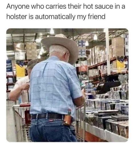 sauceholster