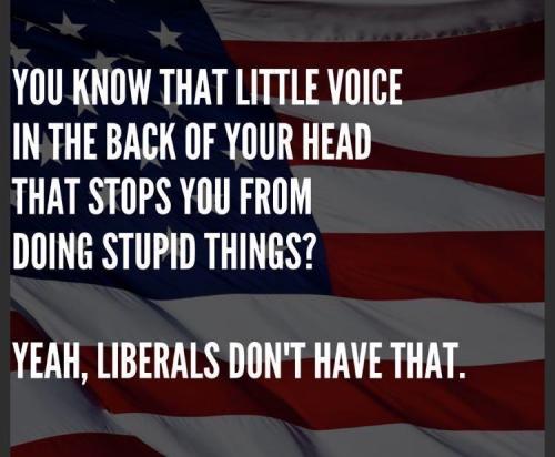 02c65b3b1c00c443960a7837f35c8afe