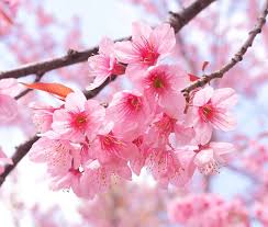 AE6BC0E7-3B08-4E51-BCFD-8761AB56F4D4