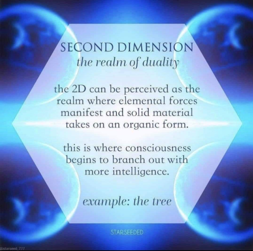 Screenshot_20211101-111842-332