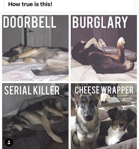 872EA78B-6A2C-4E0D-9EA6-90685C621858