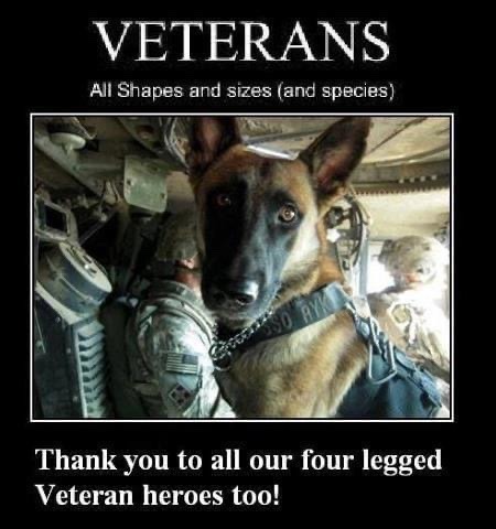 Tumblr_l_1308757231270