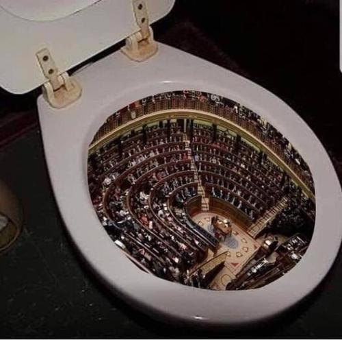 congress in toilet