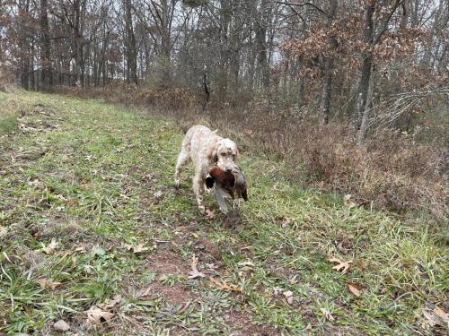 60797A7D-FA2B-41DA-9E20-8CDA340805A5