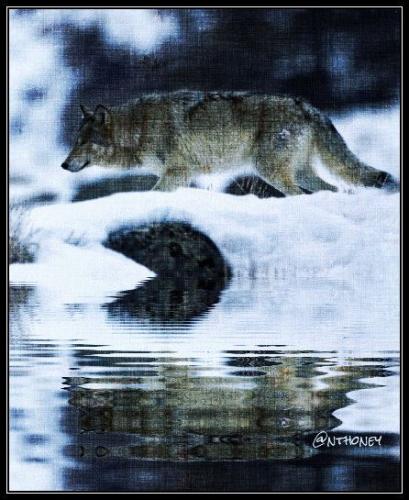 601225_537329446310004_129820611_n