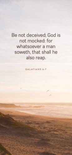 FB7E3394-2C37-4244-847A-227E45771D76