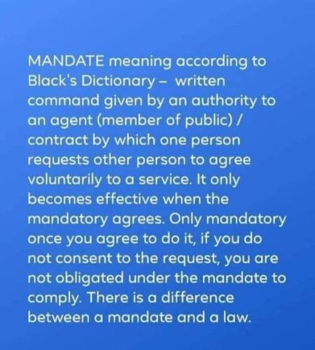 253652435_4434930813208567_7130295006474174725_n