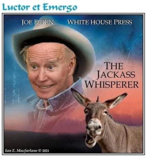 FB_IMG_1636497656106