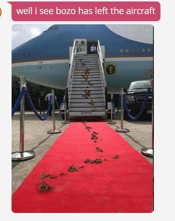 bidenairforceonepoopwcomment