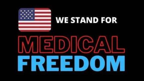 849b5bb4e3477de4100d64c7d6c5256b_500x0