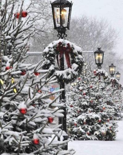 FB_IMG_1606673868696