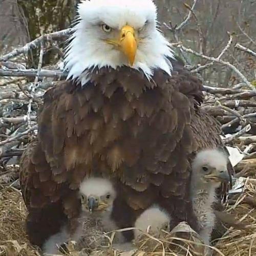 303b57862a45f0a958c13a1641b2dc47