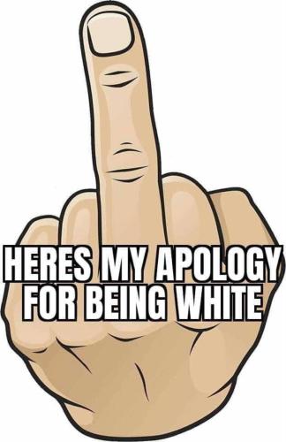 image_1637570243.901