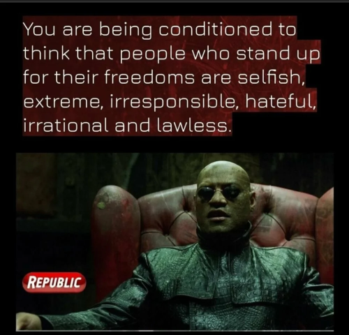 img - 2021-11-13T115003.943