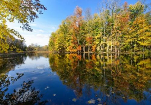 9C99A41D-BDAF-4328-AD34-0CCE56951261