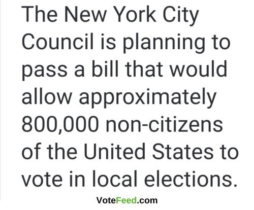 the new york city council non citizers
