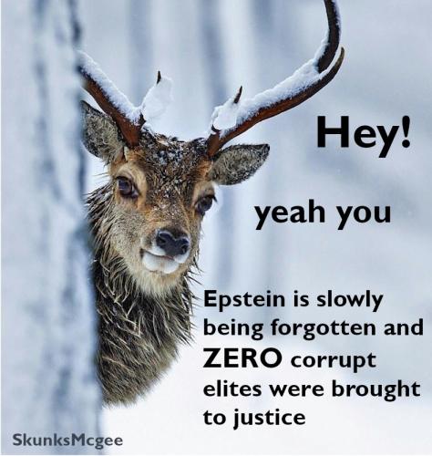 jeffery epstein is being forgotten