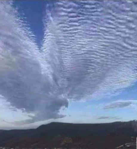 FB_IMG_1602777531815