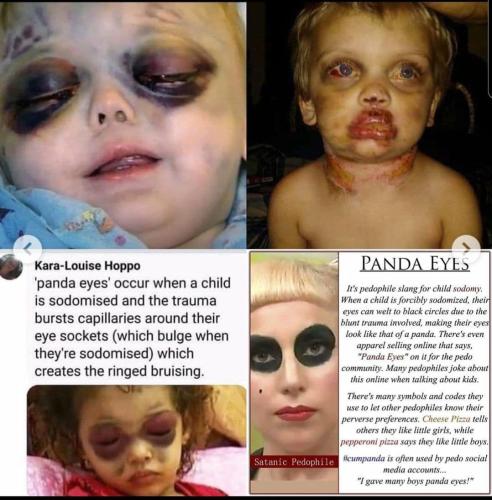 Pedod Panda eyes Dk5