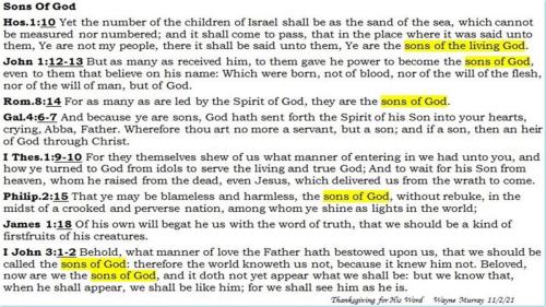 SonsOfGod