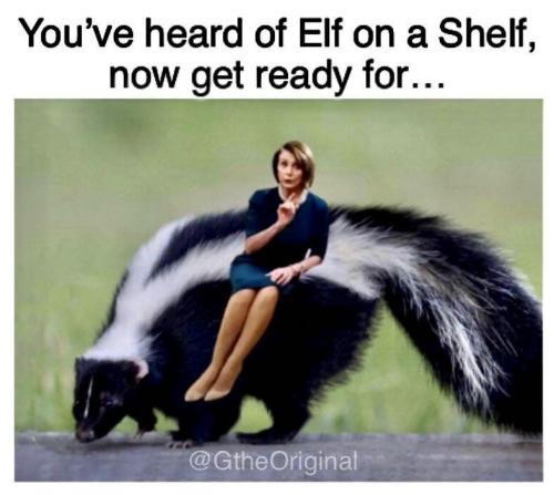 on a skunk