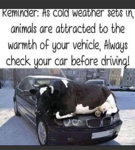 289859DB-D8B1-46C1-9687-74DB693467A8