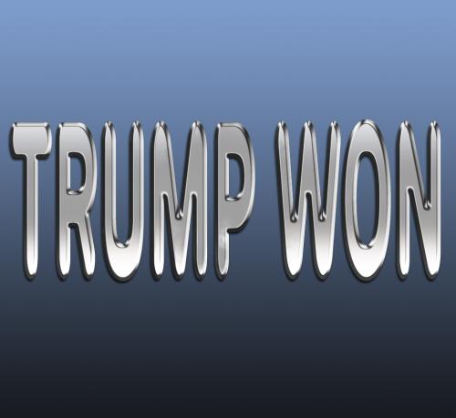 TrumpWon Almost Chrome