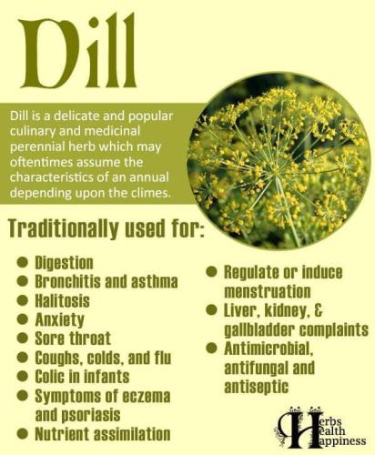 Dill