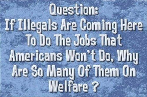 Illegals141