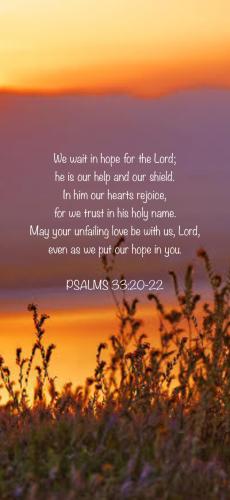 609F9E29-7FEE-42CE-A7A9-032E12F33425