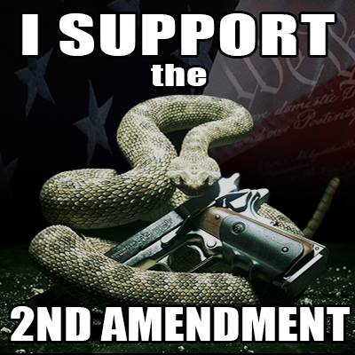 2nd Amendment - I support it
