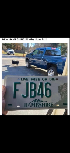 fjb46