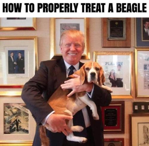 ac20cb7dff5c4fd64ea839ed5ff39fd5