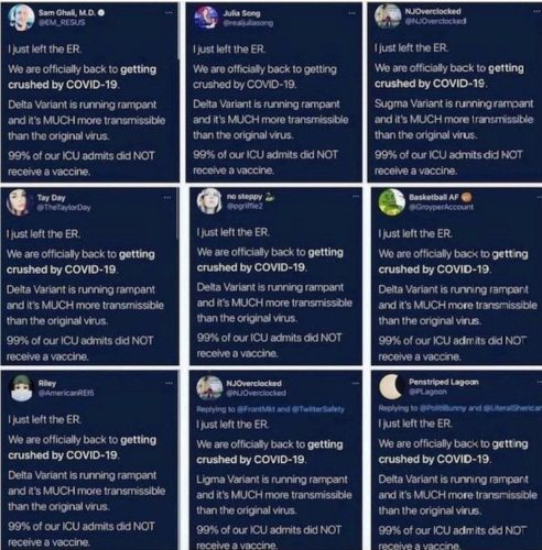 sharing the covid SAME "covid" message across multiple twitter accounts