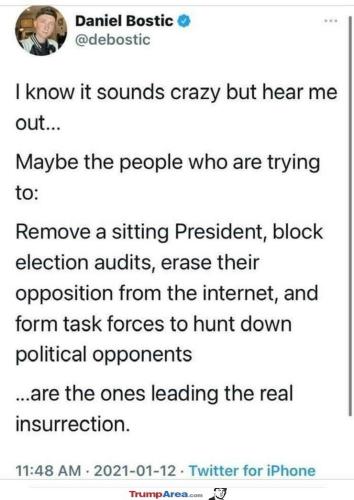 real-insurrectionists2