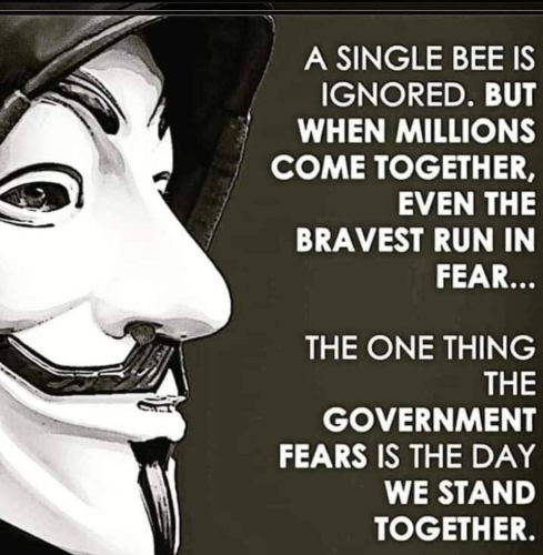 A SINGLE BEE