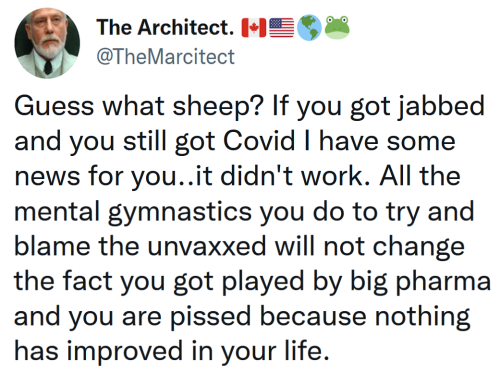 GUESS WHAT SHEEP