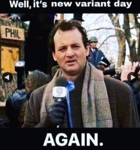 1b5d796d1e1101002794b31df5545825_500x0