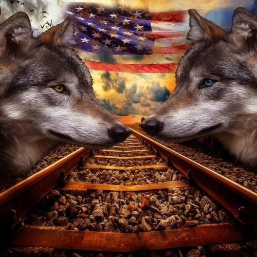wolf-rails-flag-usa-