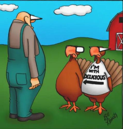 turkeyt