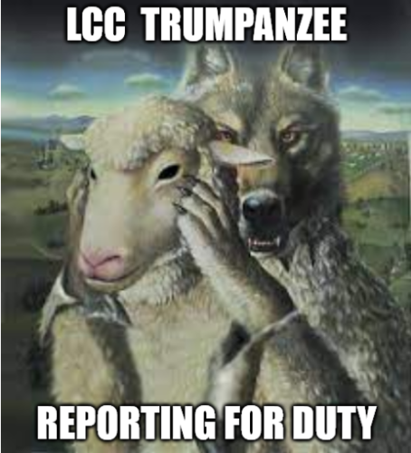 Screenshot 2021-11-16 at 11-35-00 Meme Generator - Imgflip