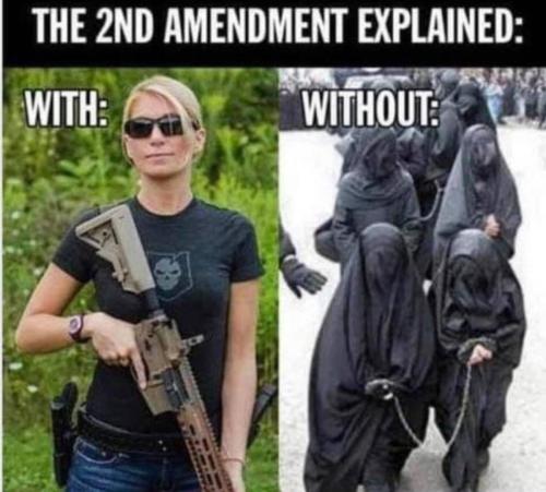 2nd Amendment Explained rev