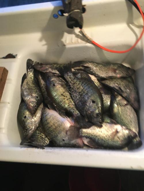 95D45FC8-8DFE-4F1F-AD34-8FEBB5E0A4F4