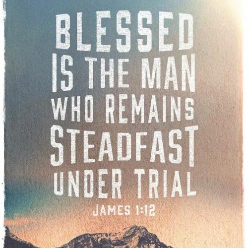 IMG_20211121_095146_943